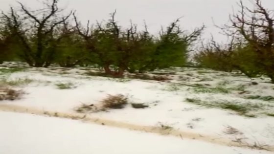 أيت عياش …..فلاحون يعتمدون على الصهاريج لانقاد الاشجار من شبح الجفاف .