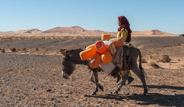 Los tuaregs tambien nombrados como touaregs tuaret o tuare son nomadas bereberes del Sahara 620x360 1 - ميدلت بوست