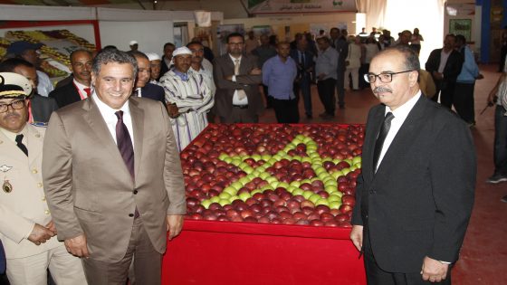 ميدلت…..الملتقى الوطني للتفاح من 06 إلى 09 أكتوبر 2022