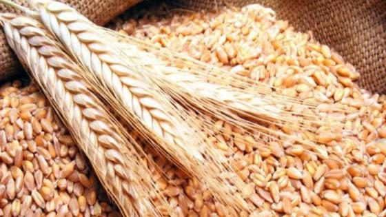 أونسا يطمئن المغاربة بشأن جودة الدقيق ويكشف عن حصيلة المراقبة خلال 2024 و2025